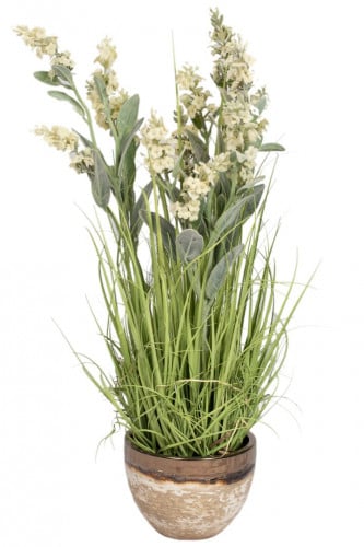 شتلة لافندر أبيض 66سم