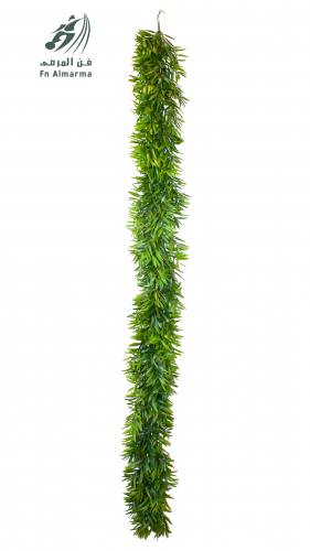 شتلة دلاية متسلقة - 3D4