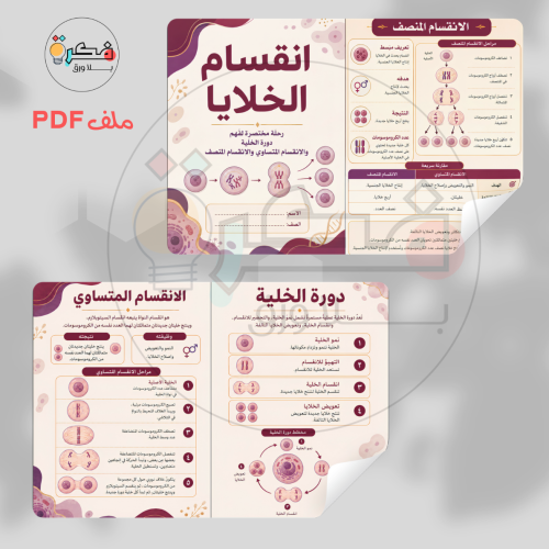 مطوية انقسام الخلايا