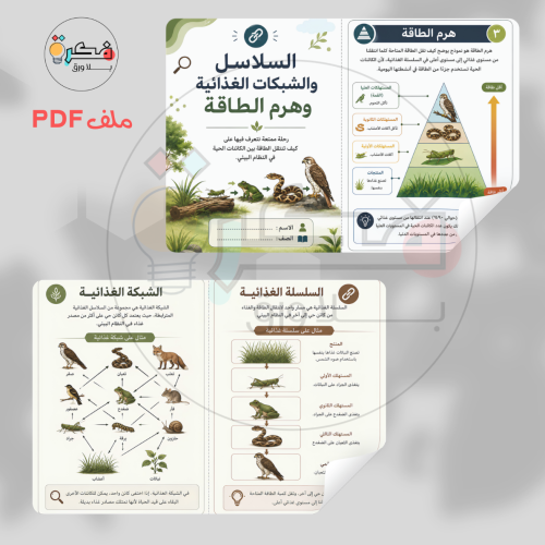 مطوية السلاسل و الشبكات الغذائية و هرم الطاقة