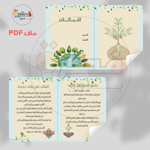 جميع مطويات ثاني ابتدائي الترم الاول