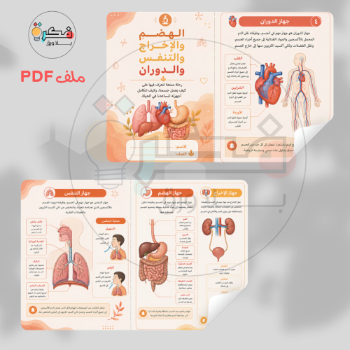 مطوية الهضم و الاخراج و التنفس و الدوران