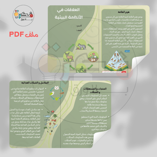 جميع مطويات علوم رابع ابتدائي الترم الاول