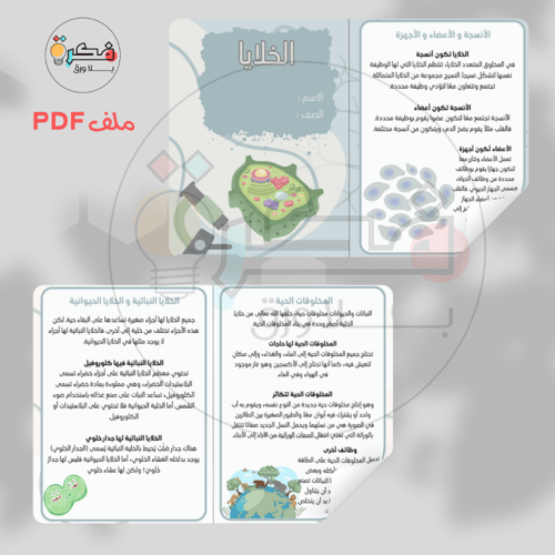 جميع مطويات و مشاريع رابع ابتدائي الترم الاول