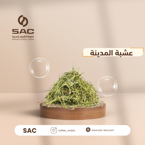 عشبة المدينة