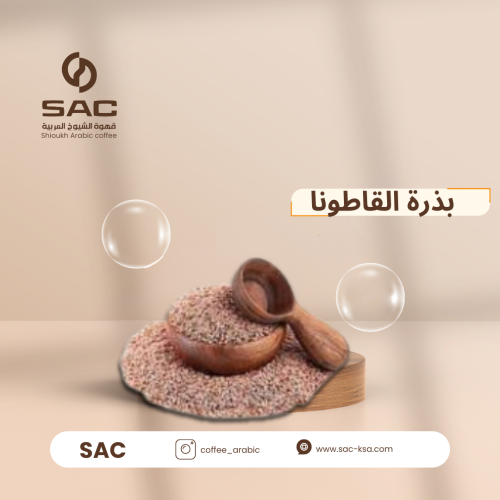 بذور القاطونا