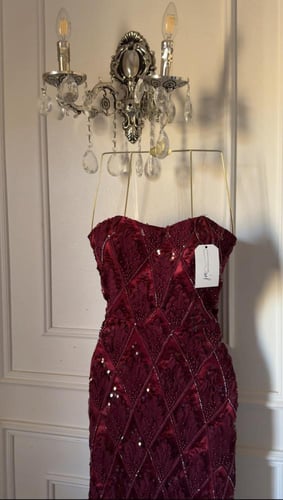 فستان أميره عنابي باكمام