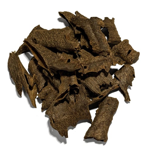 كمبودي الصدف