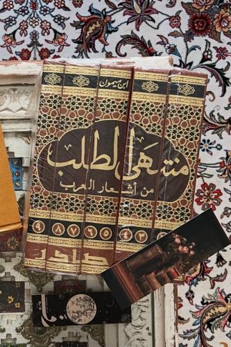 منتهى الطلب من أشعار العرب