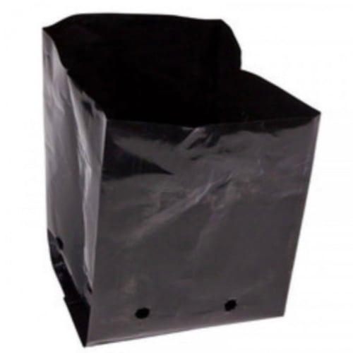 أكياس بلاستيك تشتيل 20/10