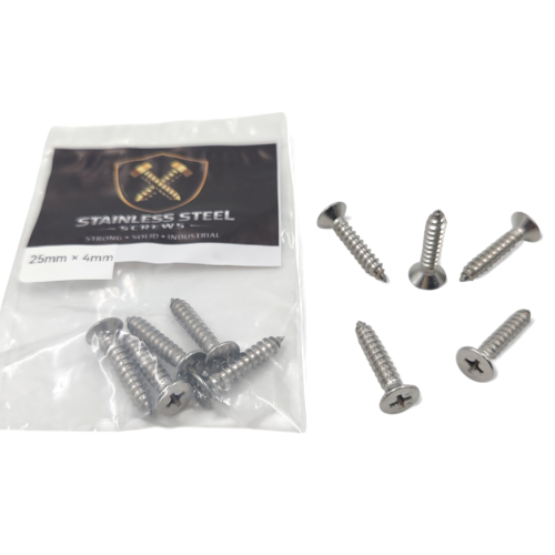 10 مسامير سن ( 25mm×4mm)