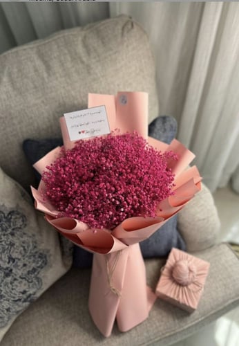 باقة الجبسوليفيا