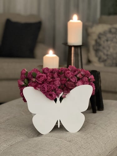 فازة الفراشة