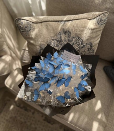 باقة الفراشة