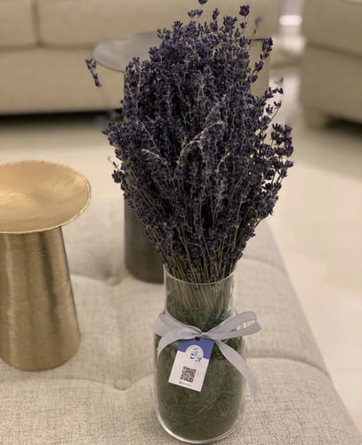 فازة الافندر