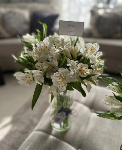 فازة الاستمريا