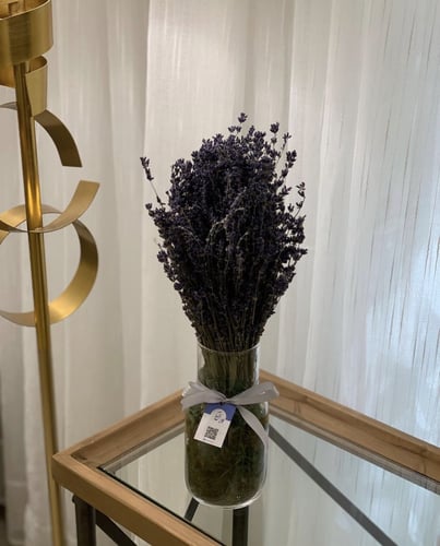 اشتراك شهر للفازات