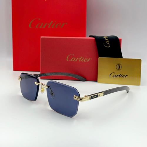 نظارة كارتير | SW 33