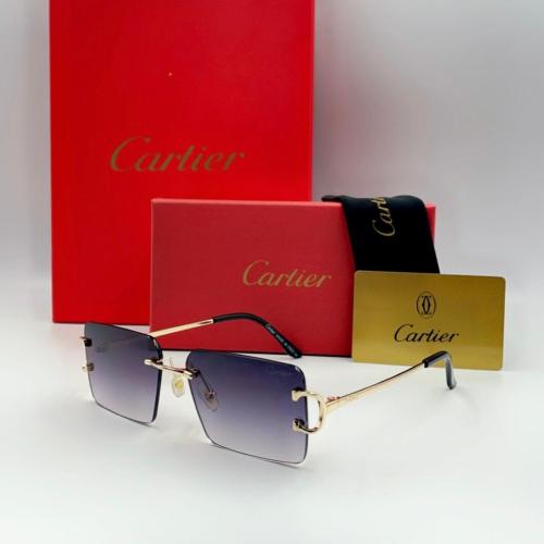 نظارة كارتير | SW 02