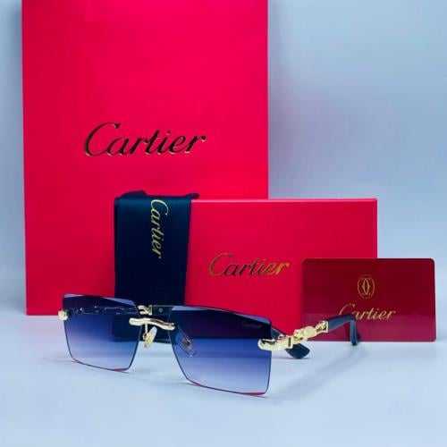 نظارة كارتير | SW 34