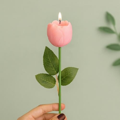 شمعة الفاوانيا Peony candle