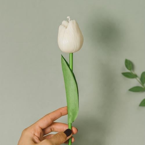 شمعة توليب tulip candle