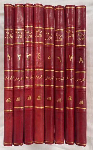 رغبة الآمال من كتاب الكامل _ سيد بن علي المرصفي