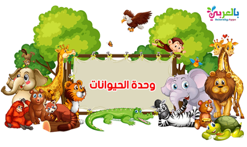 خريطة وحدة المباني