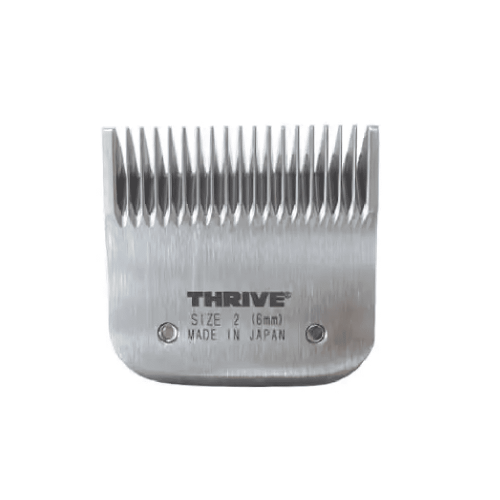 شفرة غيار ماكينة ثرايف رقم 2 (6mm)
