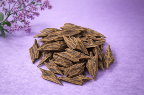 عود تايقر كمبودي