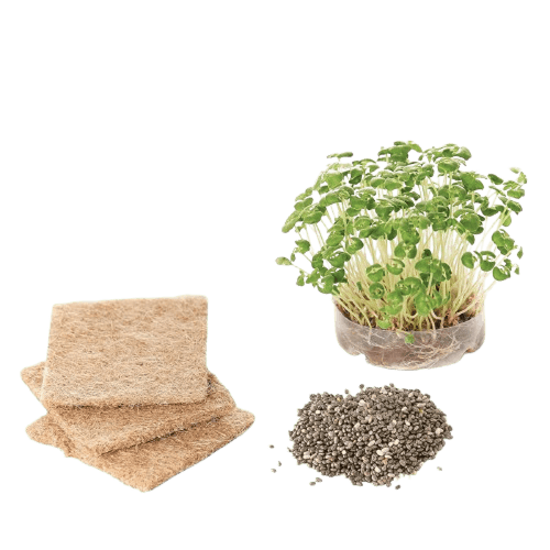 زراعة واقعية