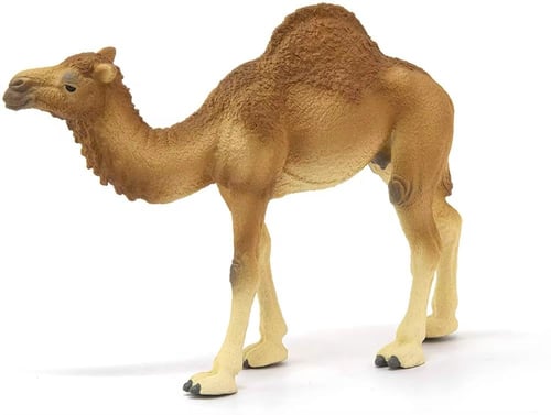 جمل