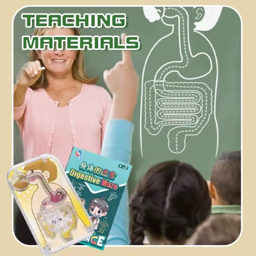 العاب العلوم والمعرفة