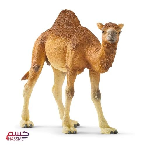 جمل