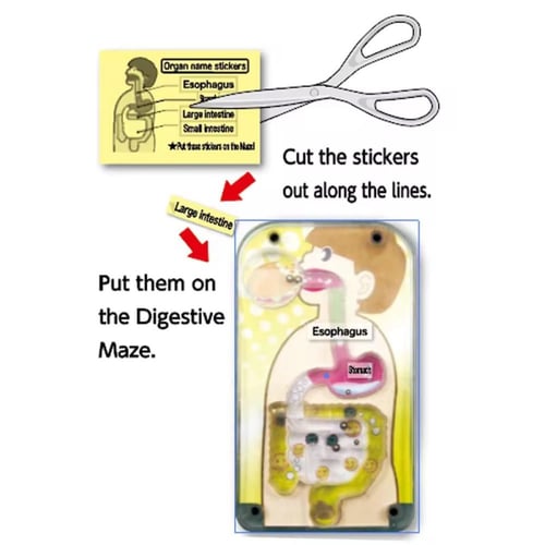 العاب العلوم والمعرفة