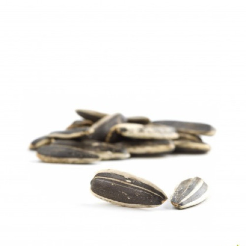 حب دوار الشمس غير مملح