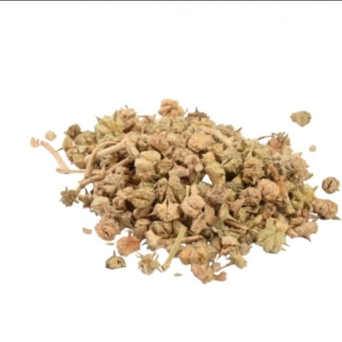 شوكة الجمل/ الخرشوف / شوكة الحليب