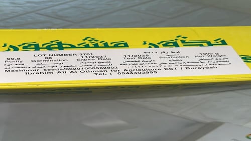 بذور سلق ابو غزال ، ١ كيلو ، نقاوه ٩٩.٨ ٪