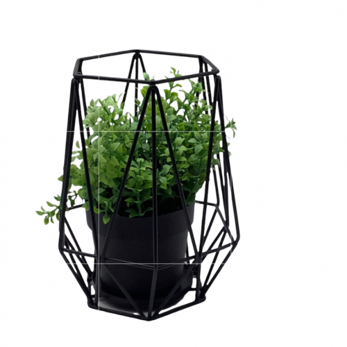 تحفه نباتيه