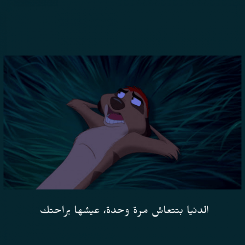 بكج الإجازة الصيفية