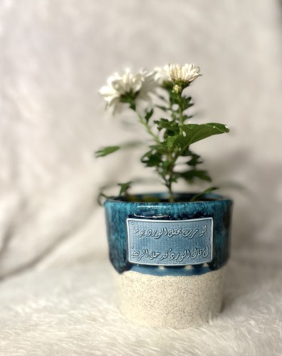 أصيص نباتات