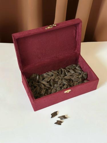 نص كيلو تايقر