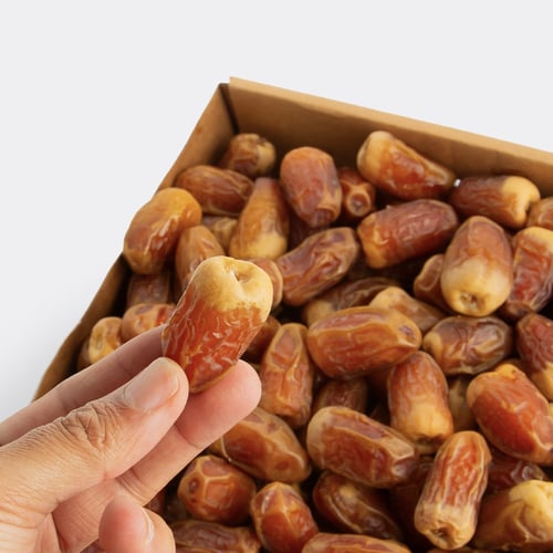 صقعي فلة ملكي