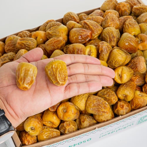 سكري فلة ملكي