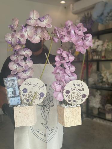 فازة الترافنتو ورد الأوركيد الفاخر