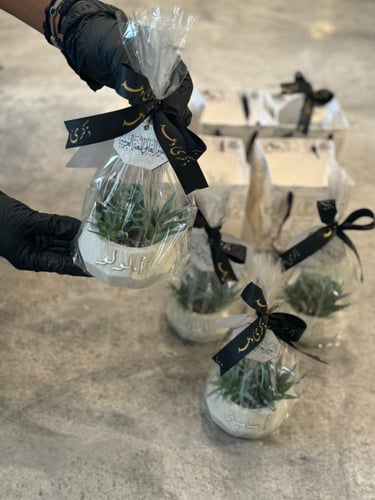 فازة الاسمنت الفاخرة مع نبتة صناعية شامل الكيس