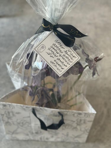 فازة الترافنتو ورد السمبيديوم الفاخر