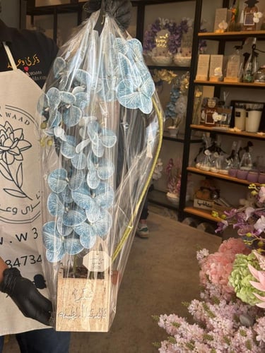 فازة الترافنتو ورد الأوركيد الفاخر