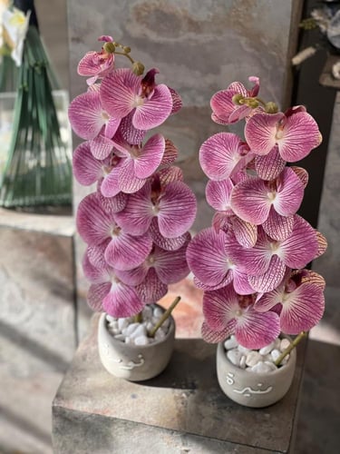 فازة الاسمنت مع ورد الاوركيد