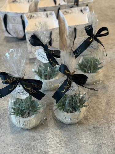 فازة الاسمنت الفاخرة مع نبتة صناعية شامل الكيس